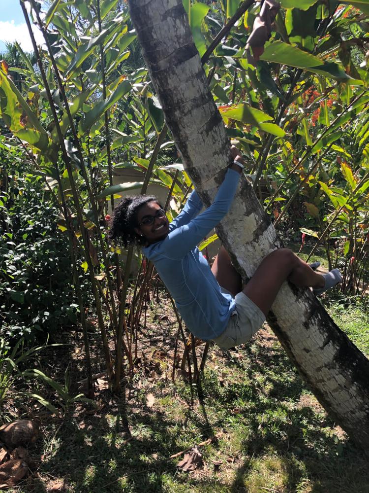 Christa Fernando grabs a tree in Belize.