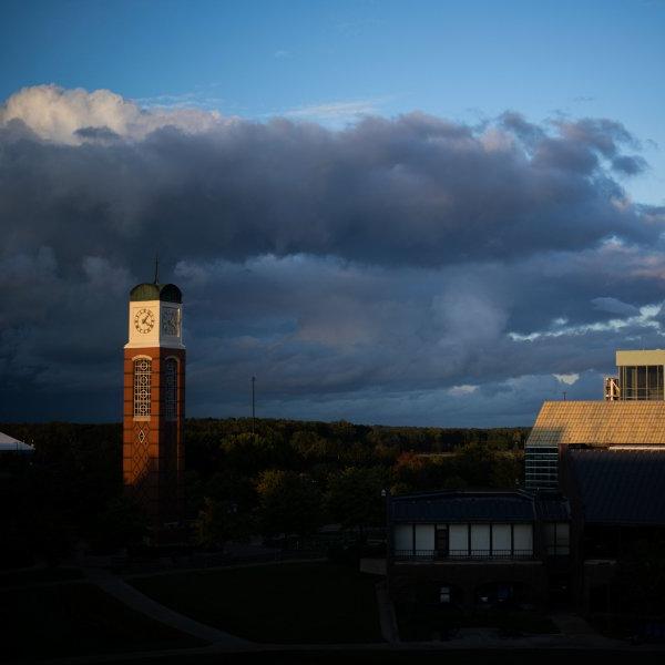 A photo of the Cook Carillon Tower.